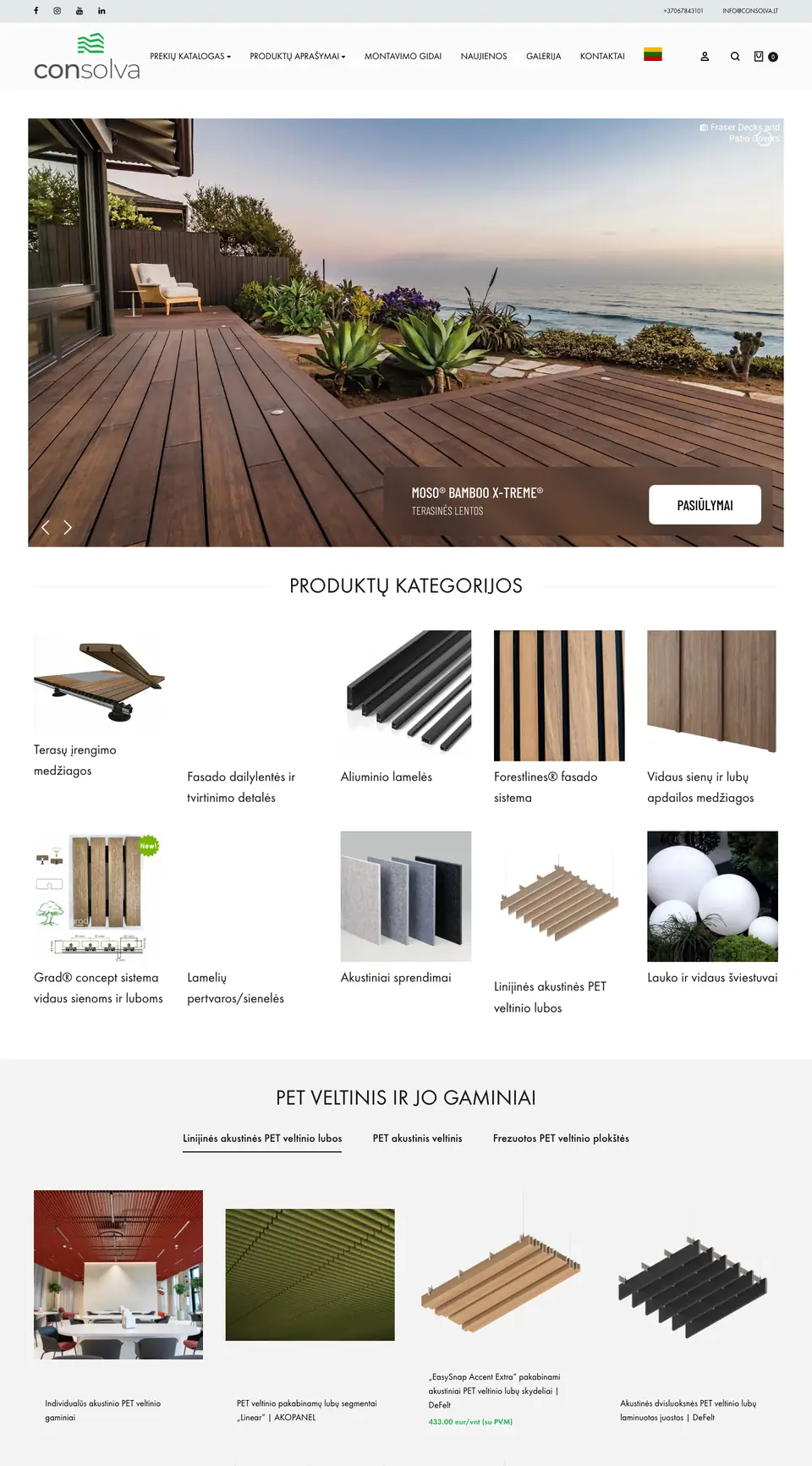 Consolva.lt – website view